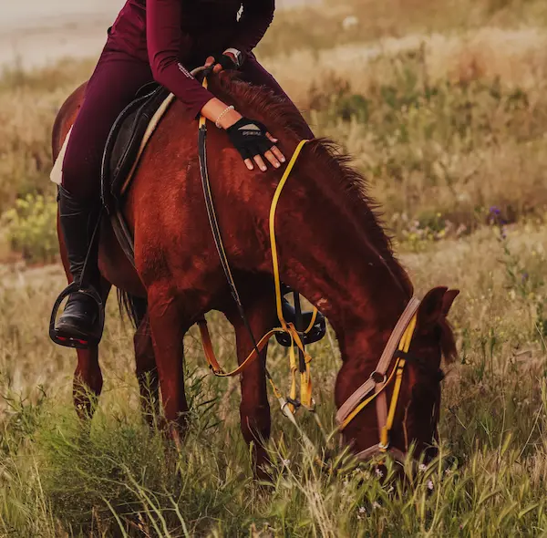 Morning horse riding experience in Cappadocia during a horseback riding holiday