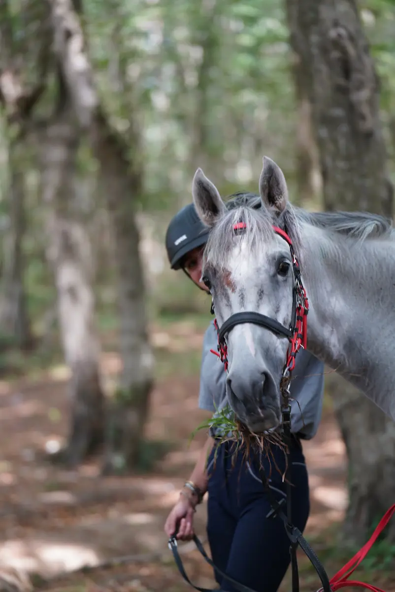 Horseback riding among fairy chimneys in Cappadocia valleys