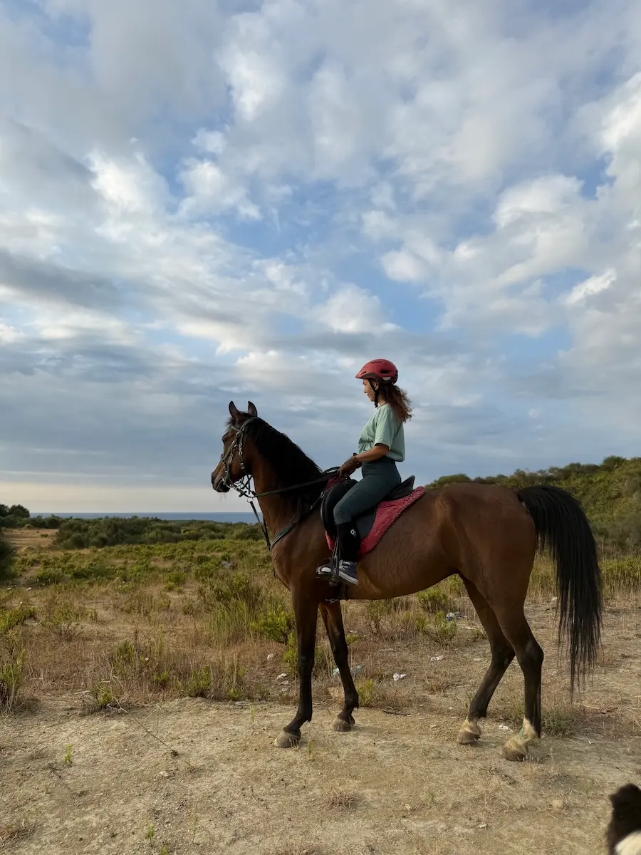 Historic Istanbul horseback riding tour experience