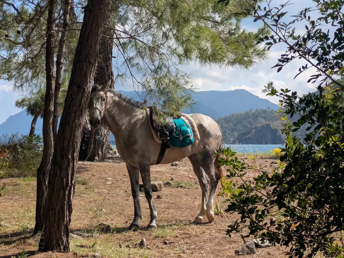 Land of Beautiful Horses horseback riding tour in Cappadocia